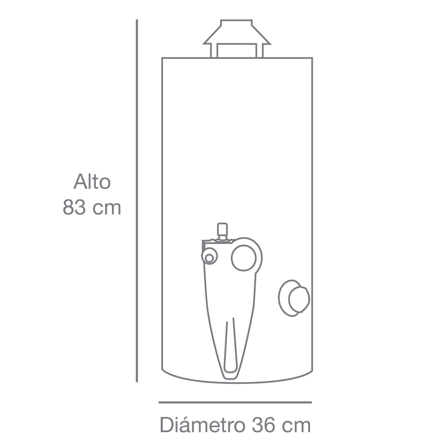 BOILER CALENTADOR DE AGUA RHEEM DE DEPÓSITO 38 LTS A GAS LP